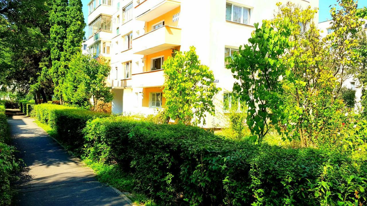 Luxury Paul apartment green, private&accessible Braşov Extérieur photo